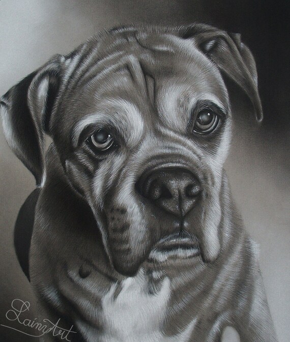 Dessin Personnalisé Fusain Chien Amateur De Chien Peinture De Lanimal De Compagnie De Votre Photo Dessiné à La Main Réaliste Original Memorial