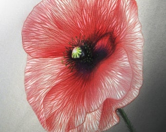 Lacy Oriental Poppy - Original Art - Pastel and charcoal drawing - Poppies, textured flowers