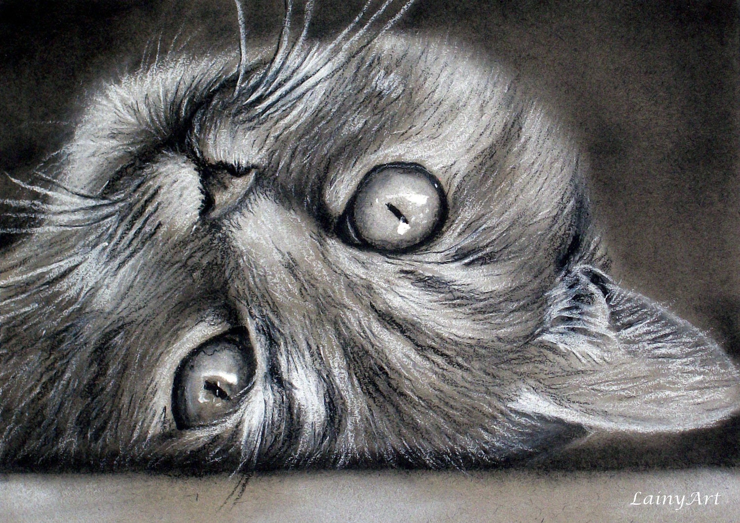 9 Drawings All Animal-Lovers Should Make | Craftsy