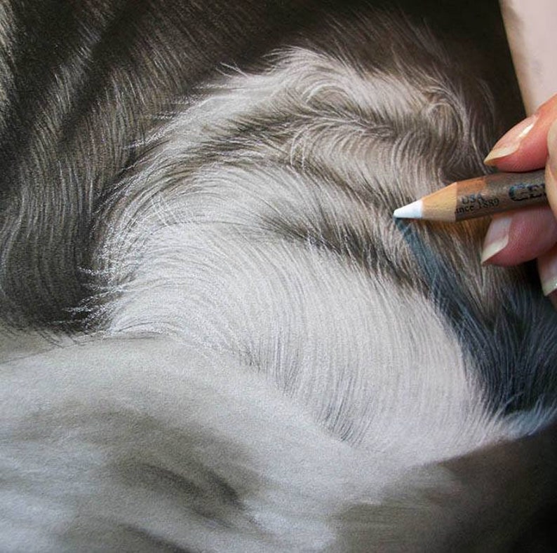 Guinea Pig Drawing Hand painted CUSTOM, Cavy lover, Pet Painting, From photo, Realistic Hand drawn, Original Memorial Art, Personalized gift image 5