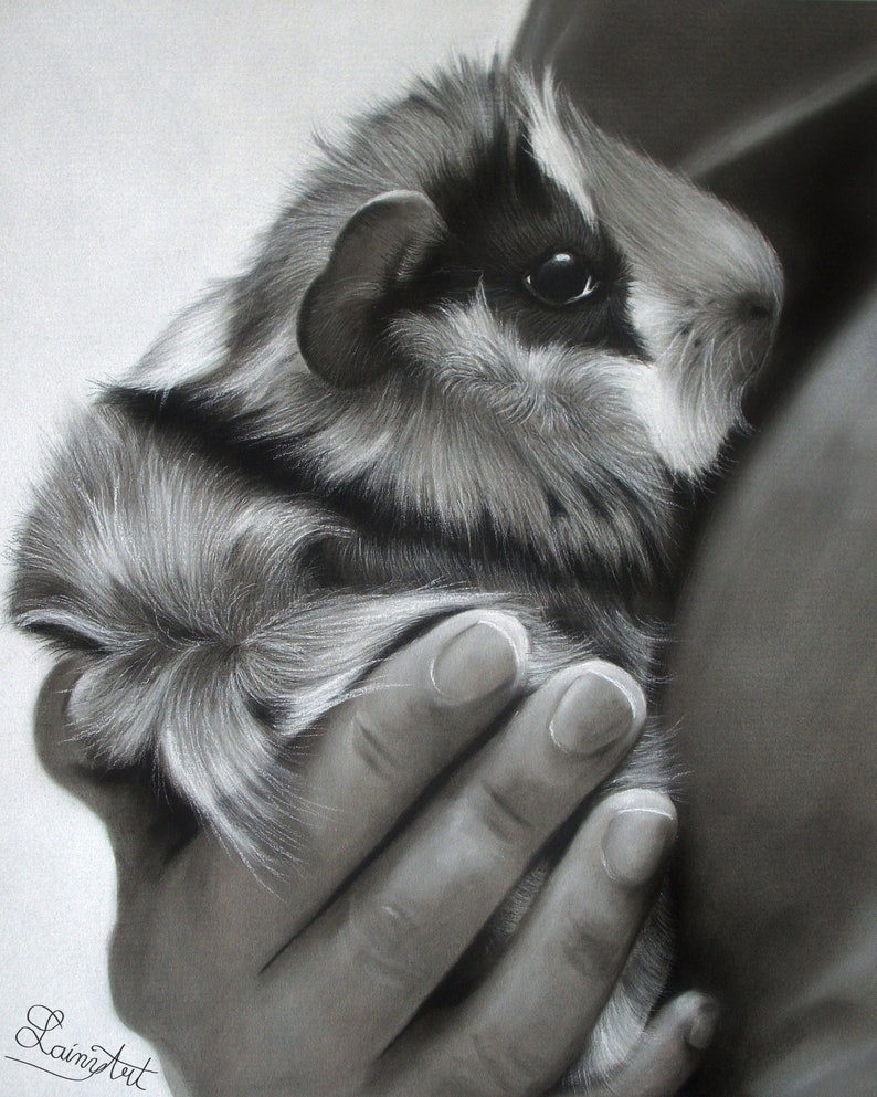 Guinea Pig Drawing Hand painted CUSTOM, Cavy lover, Pet Painting, From photo, Realistic Hand drawn, Original Memorial Art, Personalized gift image 1