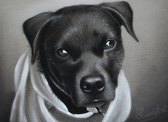 Dessin Personnalisé Fusain Chien Amateur De Chien Peinture De Lanimal De Compagnie De Votre Photo Dessiné à La Main Réaliste Original Memorial