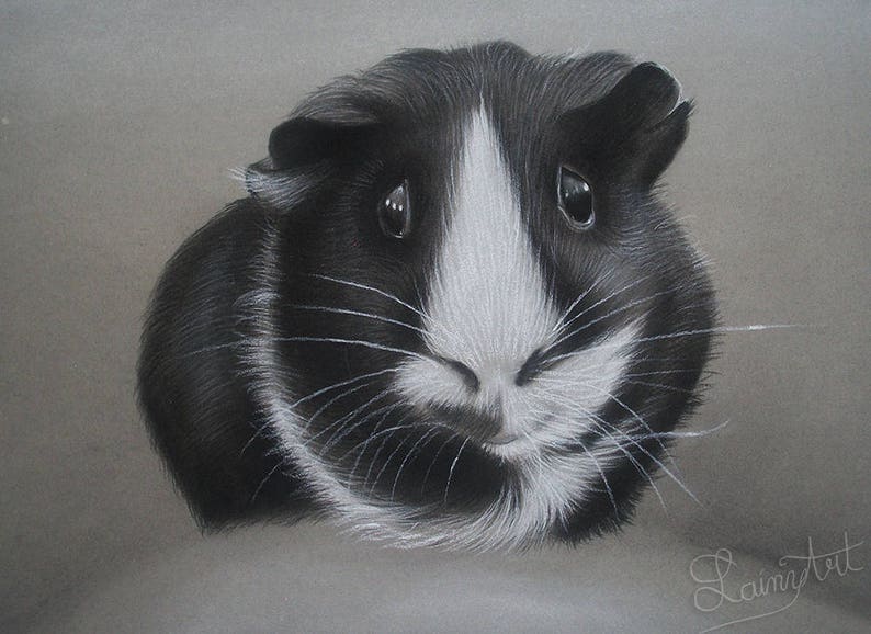 Guinea Pig Drawing Hand painted CUSTOM, Cavy lover, Pet Painting, From photo, Realistic Hand drawn, Original Memorial Art, Personalized gift image 3
