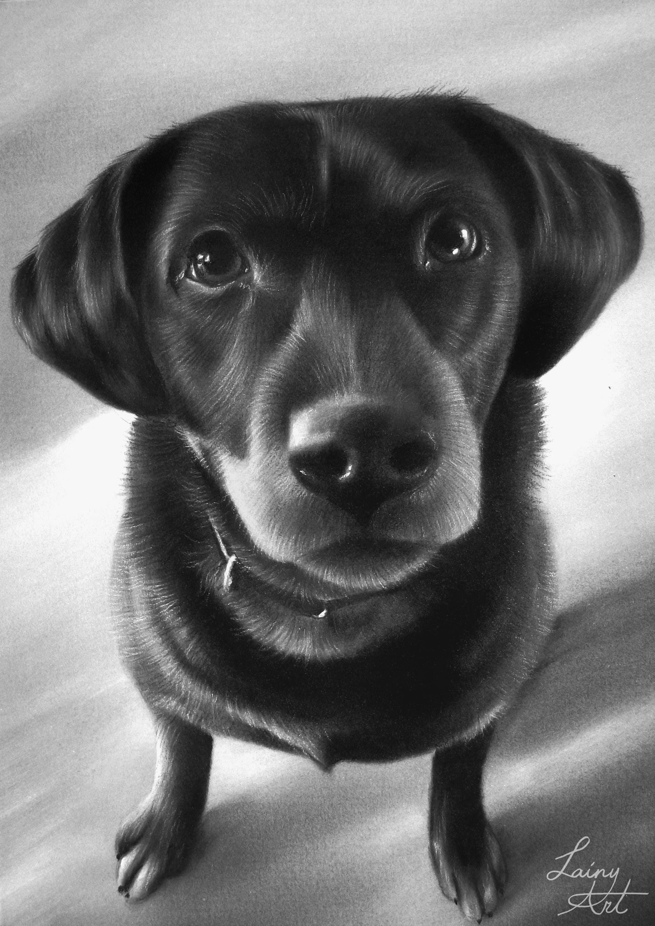 CUSTOM Charcoal Dog Zeichnung, Handgemalte Haustiere, Hundeliebhaber, Von  Ihrem Foto, Realistische Hand gezeichnet, Original Erinnerungskunst,  personalisiertes Geschenk - Etsy Schweiz, image size:2094x2958