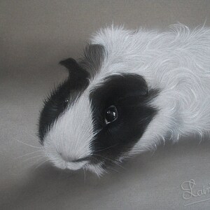 Guinea Pig Drawing Hand painted CUSTOM, Cavy lover, Pet Painting, From photo, Realistic Hand drawn, Original Memorial Art, Personalized gift image 4