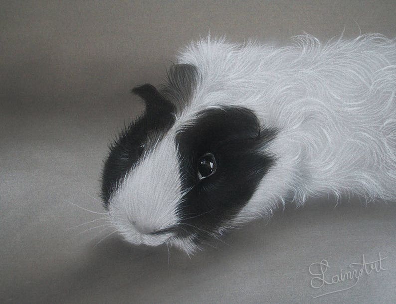 Guinea Pig Drawing Hand painted CUSTOM, Cavy lover, Pet Painting, From photo, Realistic Hand drawn, Original Memorial Art, Personalized gift image 4