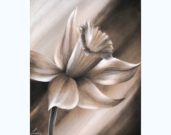 Daffodil - Original Art - Pastel and charcoal drawing - greyscale floral art