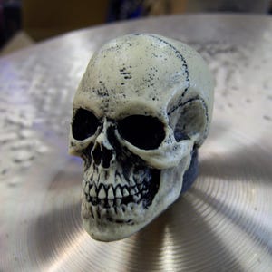 May include: A white skull with black eye sockets and a detailed bone structure. The skull is sitting on a silver surface.
