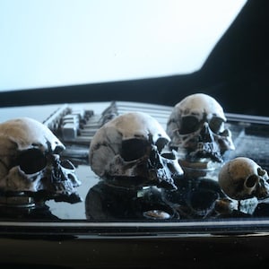 Może przedstawiać: Cztery białe gałki gitary w kształcie czaszki, trzy są większe, a jedna mniejsza. Gałki znajdują się na czarnej gitarze.