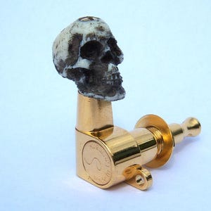 Puede incluir: Clavija de afinación de guitarra dorada con un pomo de calavera blanca. La calavera tiene cuencas de ojos negras y una estructura ósea detallada.