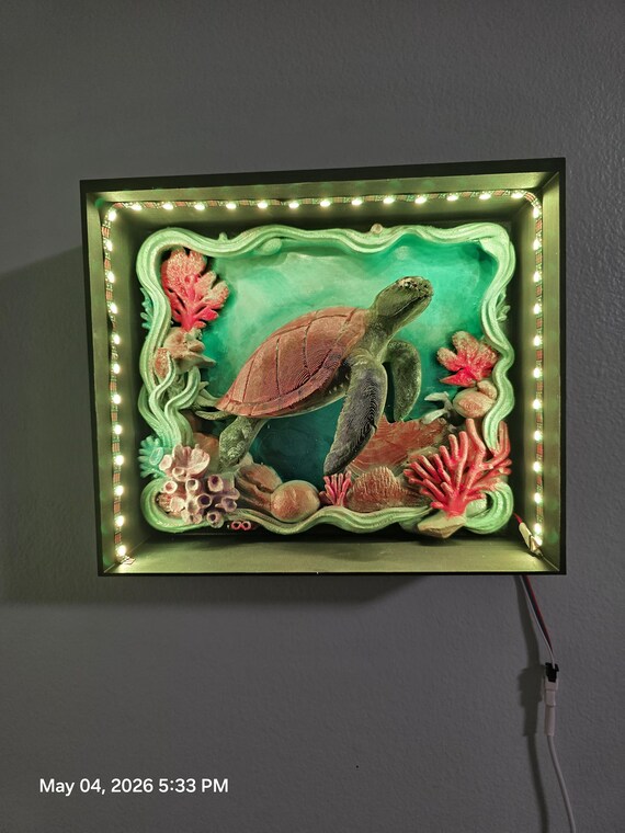 DepthFrame Designs custom hand painted  turtle wall art