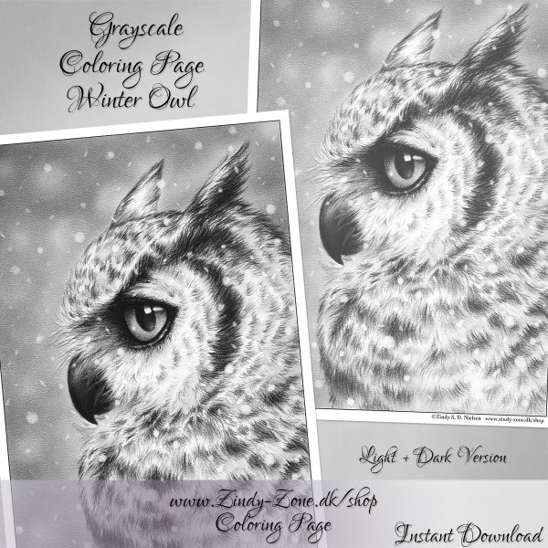 Grayscale Coloring Page Winter Owl Wings Feather Fantasy Snow Zindy Nielsen