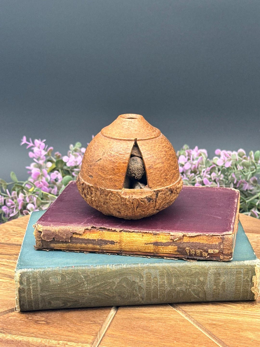 Vintage Brazil Nut Pod Rattle | Natural Seed Pod Instrument | Rustic ...