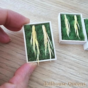 May include: Two sets of miniature ginseng roots in a white wooden box with green moss. The roots are light yellow and have a delicate, branching structure.