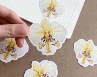 Clear Orchid Watercolor Vinyl Sticker: Botanical Laptop Decal