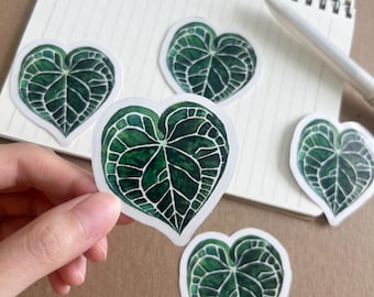 Anthurium Leaf Sticker | Botanical Decal  | Watercolor Plant Lover Gift | Hand Painted Houseplant Illustration