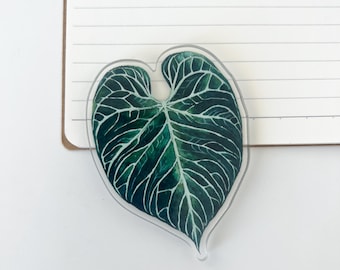 Hand Painted Anthurium Regale Magnet Botanical Watercolor Plant Rare Tropical Leaf Illustration Fridge Magnet Cute Office Decor Gift