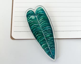 Anthurium Veitchii Plant Magnet Green Leaf Fridge Clip Watercolor Art Tropical Plant Lover Gift for Housewarming Kitchen Office Decor