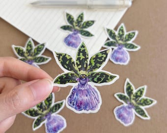 Clear Orchid Vinyl Sticker: Watercolor Plant Art - Waterproof Decor