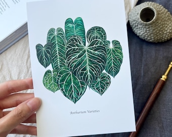 Botanical Watercolor Anthurium Art Print Hand Painted Tropical Plant Illustration Rare Foliage Wall Decor Natural Desk Art Plant Lover Gift