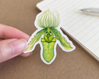 Orchid Sticker: Watercolor Botanical Decal for Laptop, Journal