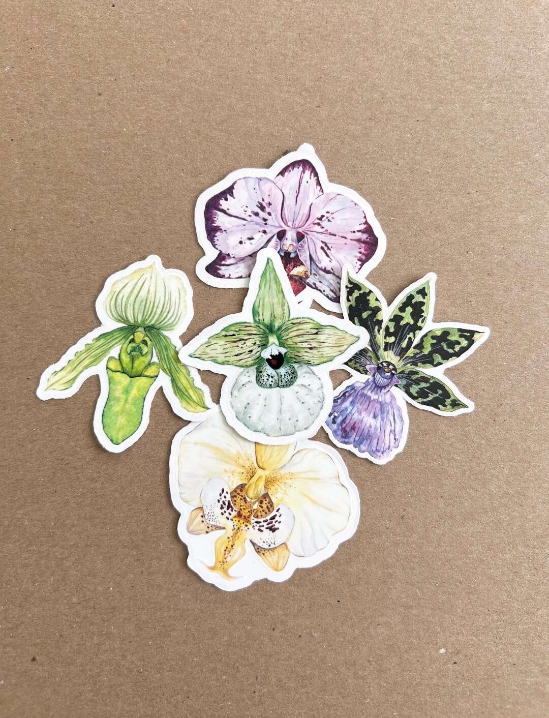 Orchid Sticker Clear Orchid Vinyl Sticker Bundle Set of 5: Watercolor Rare Plant Art ...