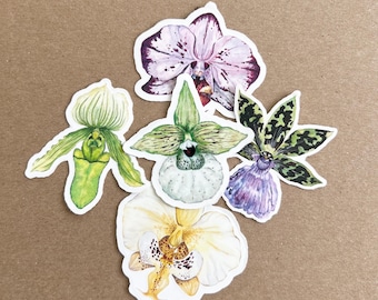 Orchid Vinyl Sticker Bundle Set of 5: Watercolor Rare Plant Art, Botanical Illustration Decal