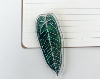 Hand Painted Anthurium Leaf Fridge Magnet In Watercolor Style A Botanical Houseplant Decor Piece And A Thoughtful Plant Lover Gift