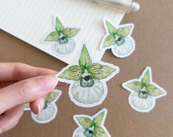 Orchid Vinyl Sticker: Watercolor Plant Art for Laptop, Water Bottle