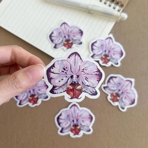 Clear Pink Orchid Vinyl Sticker: Watercolor Plant Art