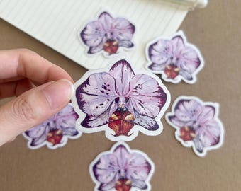 Clear Pink Orchid Vinyl Sticker: Watercolor Plant Art