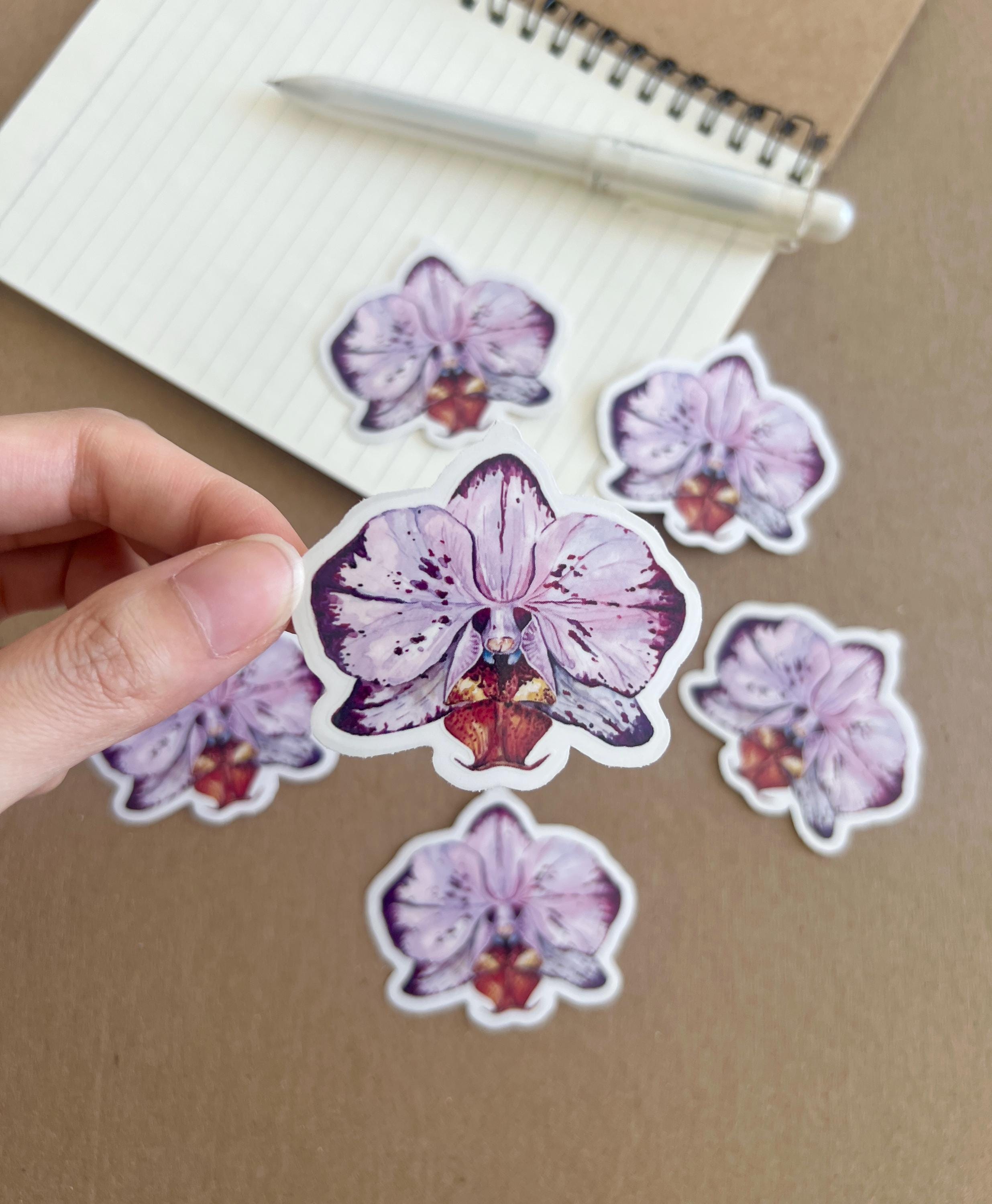 Orchid Sticker Clear Pink Orchid Vinyl Sticker: Watercolor Plant Art - Etsy