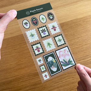 K&ouml;nnte beinhalten: Ein Bogen mit transparenten Aufklebern mit botanischen Illustrationen von Orchideen und anderen Blumen. Die Aufkleber haben verschiedene Formen, darunter Briefmarken und Ovale, mit einem dunkelgr&uuml;nen Rand. Der Text "Ripple Botanic" ist oben aufgedruckt.