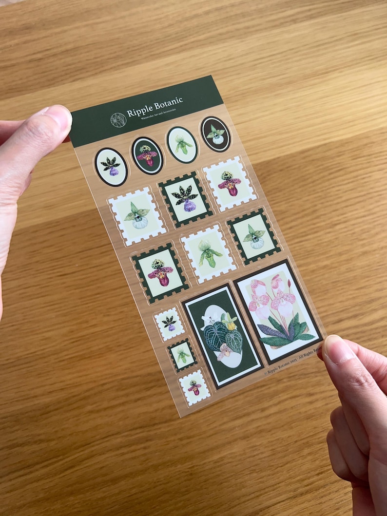 K&ouml;nnte beinhalten: Ein Bogen mit transparenten Aufklebern mit botanischen Illustrationen von Orchideen und anderen Blumen. Die Aufkleber haben verschiedene Formen, darunter Briefmarken und Ovale, mit einem dunkelgr&uuml;nen Rand. Der Text "Ripple Botanic" ist oben aufgedruckt.