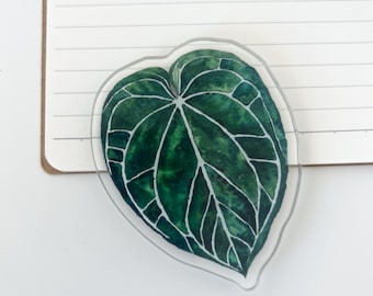 Hand Painted Anthurium Leaf Fridge Magnet In Watercolor Style A Botanical Houseplant Decor Piece And A Thoughtful Plant Lover Gift