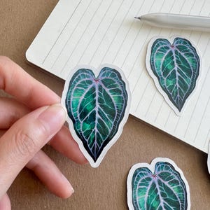 Könnte beinhalten: Blattförmige Aufkleber mit einer detaillierten Illustration eines grünen Blattes mit lila Adern und einem weißen Rand. Die Aufkleber befinden sich auf einem Notizbuch mit einem Stift.