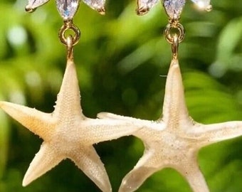 Real Mermaid Sea Star Earrings Handmade Jewelry Statement Piece OOAK Seashell Rare Beach Find