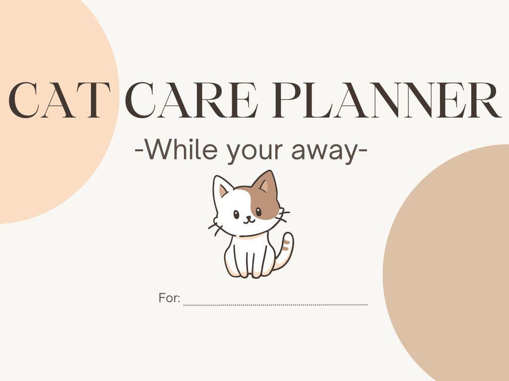 Your Cat Cat Care While On Vacation How To Read A Cat's Body