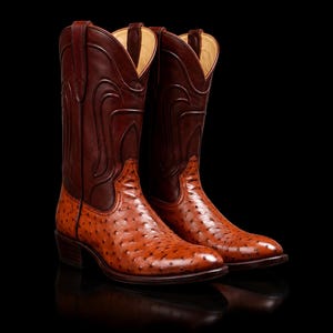 Pode incluir: Um par de botas de cowboy castanhas com um peito do pé em pele texturizada com padrão de pontos num tom bronzeado mais claro e um cano em pele castanha escura lisa com detalhes de costura decorativos e puxadores no topo.