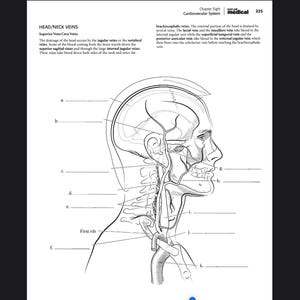 200+ Page Anatomy Coloring Book for Adults | Human Body Systems Study Guide | Medical Student & Nursing School Workbook