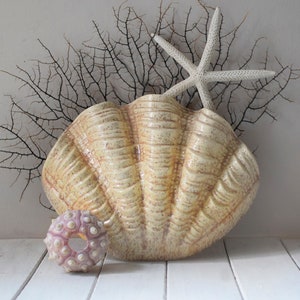 May include: A decorative seashell with a starfish and a sea urchin. The large, cream-coloured shell has a textured surface. A white starfish rests on top, and a small, pink sea urchin sits in front. The background includes dark, branch-like coral.