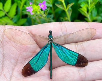 Mariposa real, de origen ético, ideal para regalar. Decoración de pared inspirada en la naturaleza.