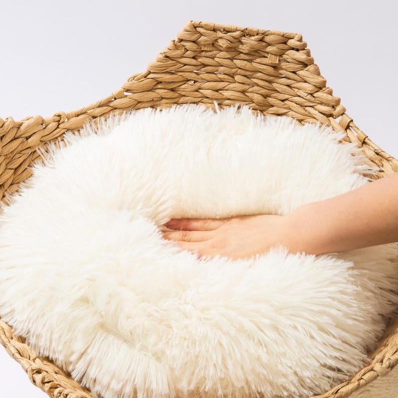 May include: A woven wicker pet bed with a fluffy, cream-colored cushion. The cushion is soft and plush, providing a comfortable space for a small animal to rest. The bed's natural tones and textures create a cozy and inviting aesthetic.