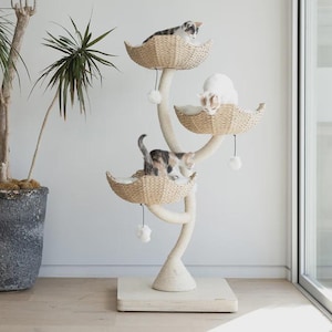 Könnte beinhalten: Ein mehrstöckiger Katzenbaum mit drei geflochtenen Körben, die jeweils von einer Katze bewohnt werden. Der Baum ist cremefarben mit hängenden Pompons. Links ist eine große Topfpflanze und rechts ein Fenster.