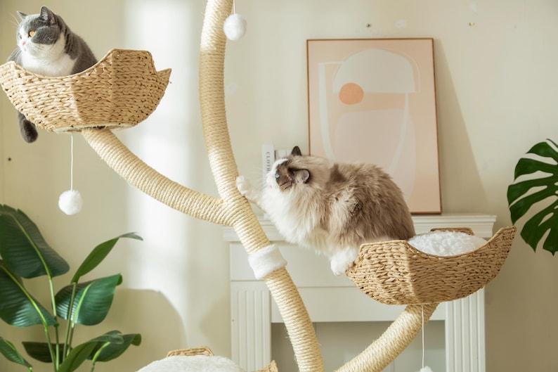 May include: A cat tree with multiple woven baskets and a sisal-wrapped structure. Two cats are present, one in a basket and another climbing. The tree features dangling pom-poms and is set against a neutral background.