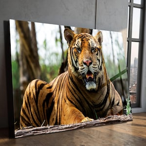 Majestic Tiger Tempered Glass Wall Art: Jungle Wildlife Decor