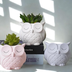 Può includere: Tre vasi da fiori in ceramica a forma di gufo, in bianco, rosa chiaro e grigio. Ogni vaso presenta un design di gufo dettagliato con occhi chiusi e una superficie testurizzata. I vasi sono perfetti per esporre piccole piante o piante grasse.
