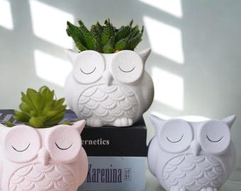 Handmade Owl Ceramic Succulent Planter: Home Decor Gift