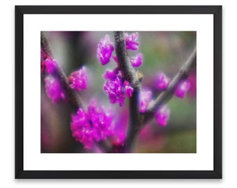 Purple Blossoms Art Print, Soft Focus Floral Photography (Digital Download)