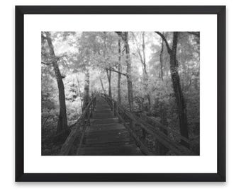 Passerella in legno nella foresta, download digitale, stampa artistica da parete a infrarossi, fotografia dei boschi, stampa digitale in bianco e nero, stampa artistica della natura.